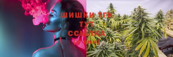 гидра Наволоки