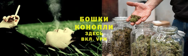 гидра Наволоки