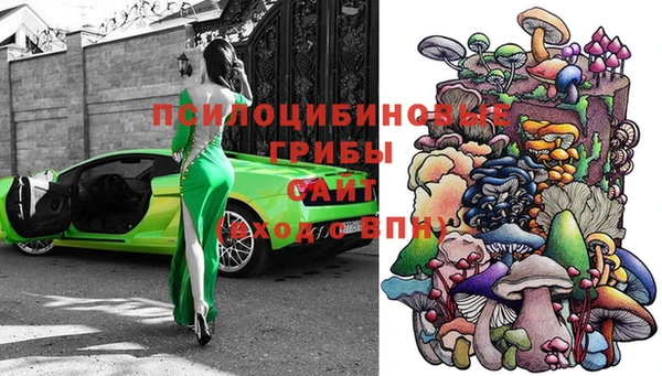 гидра Наволоки