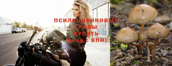 гидра Наволоки